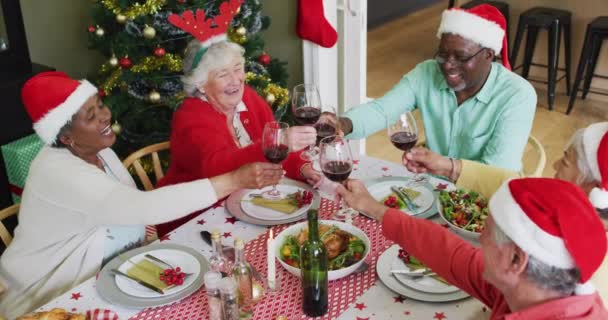 Buon Gruppo Diversi Amici Anziani Che Festeggiano Pasto Bevono Vite — Video Stock