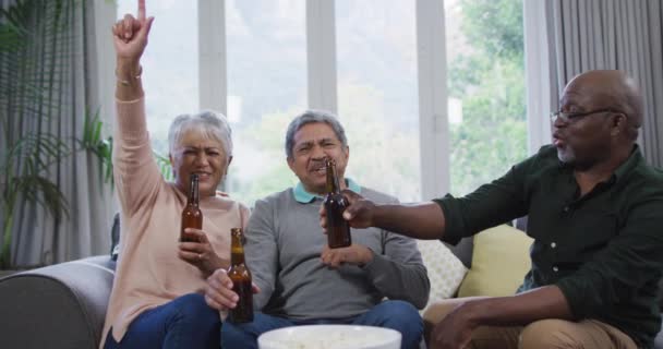 Glad Blandras Senior Par Och Afrikansk Amerikansk Vän Dricka Och — Stockvideo