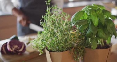 Bitkilerin ve melez kadınların yemek hazırlayan ellerinin videosu. Rahatla, rahatla, yemek pişir ve evde boş zaman geçir..