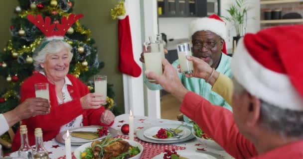 Boldog Csoport Különböző Idősebb Barátok Ünnepli Étkezés Ivás Gyümölcslé Karácsonykor — Stock videók