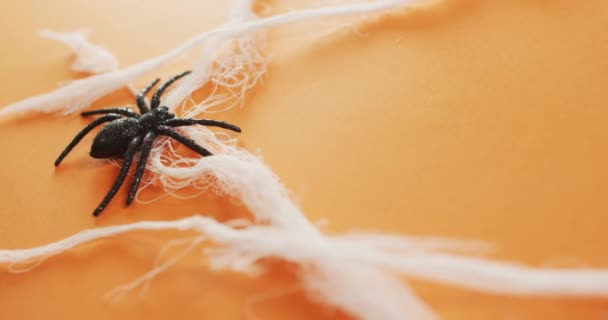 Primer Plano Juguete Araña Formando Una Tela Araña Contra Fondo — Vídeo de stock