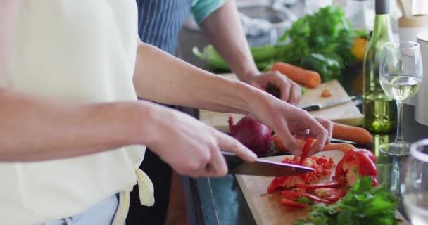 Kafkasyalı Mutlu Olgun Bir Çift Birlikte Yemek Pişiriyor Mutfakta Şarap — Stok video