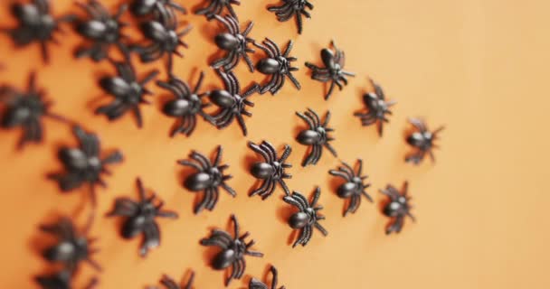 オレンジの背景にコピースペースを持つ複数のクモのおもちゃの閉鎖 ハロウィンのお祭りとお祝いのコンセプト — ストック動画