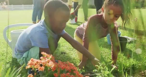 Vidéo Famille Afro Américaine Heureuse Passant Temps Ensemble Dans Jardin — Video