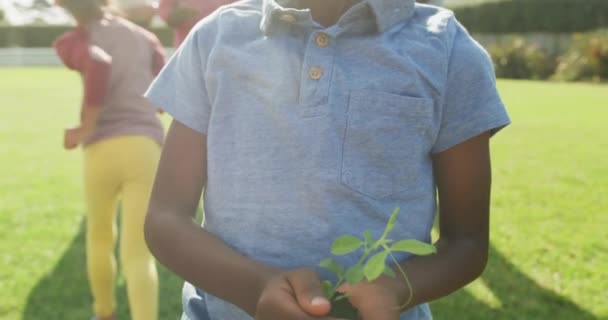 Mutlu Afro Amerikan Ailesinin Bahçede Birlikte Vakit Geçirdiği Bir Video — Stok video