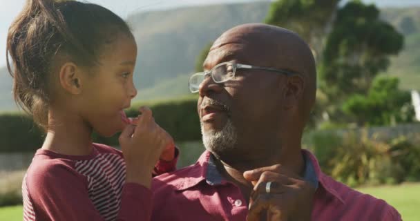 Mutlu Afro Amerikan Büyükbaba Torununun Bahçede Birlikte Vakit Geçirdiği Bir — Stok video