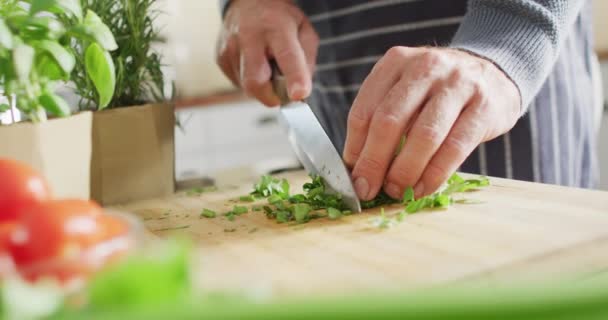 Kafkasyalı Bir Adamın Mutfakta Durup Yemek Pişirmesi Bazil Doğraması Evde — Stok video