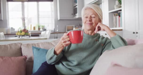 Portræt Glade Senior Kaukasiske Kvinde Sidder Sofaen Stuen Drikker Kaffe – Stock-video