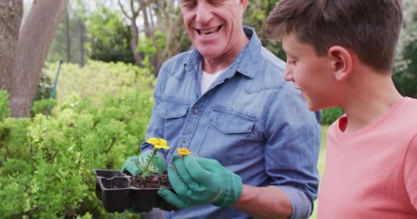 Felice Nonno Caucasico Nipote Che Lavorano Giardino Nella Giornata Sole — Video Stock