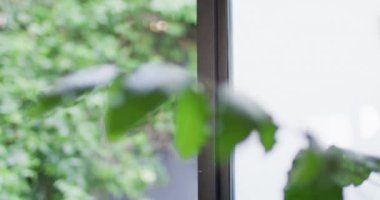 Bulanık arka planda hareket eden büyük yeşil yaprakları kapatın. Doğa, yapraklar ve bitkiler.