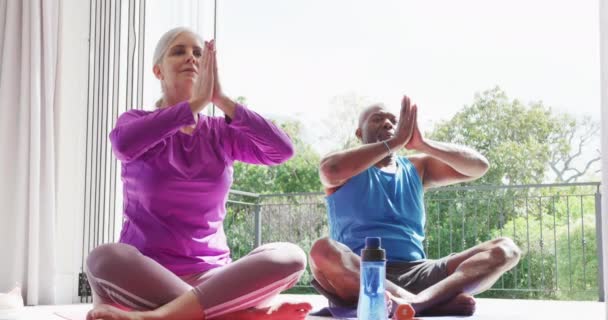Feliz Pareja Personas Mayores Diversas Practicando Yoga Meditando Pasar Tiempo — Vídeo de stock