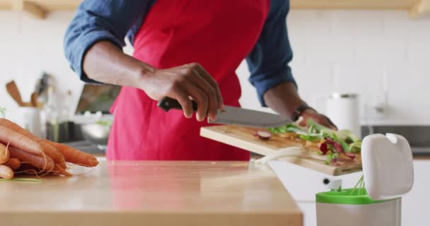 Midsection Homem Americano Africano Cozinha Limpeza Resíduos Passar Tempo Qualidade — Vídeo de Stock