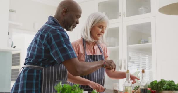 Feliz Pareja Ancianos Diversos Con Delantales Cocinar Cocina Pasar Tiempo — Vídeo de stock