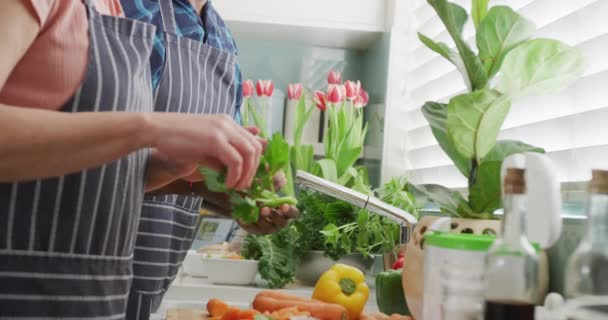 Šťastný Starší Pár Zástěrách Mytí Zeleniny Kuchyni Trávit Kvalitní Čas — Stock video