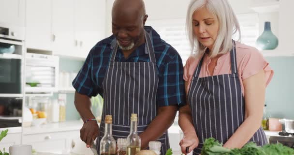Feliz Pareja Ancianos Diversos Con Delantales Cocinar Cocina Pasar Tiempo — Vídeos de Stock