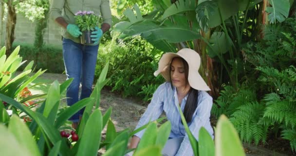 Vídeo Casal Diverso Feliz Plantando Flores Jardim Sorrindo Felicidade Saúde — Vídeo de Stock