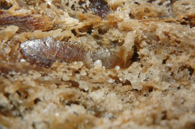 Dürzi Kristal Mağarası