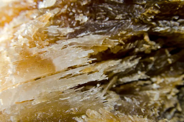 Placa de aguja cueva de yeso — Foto de Stock