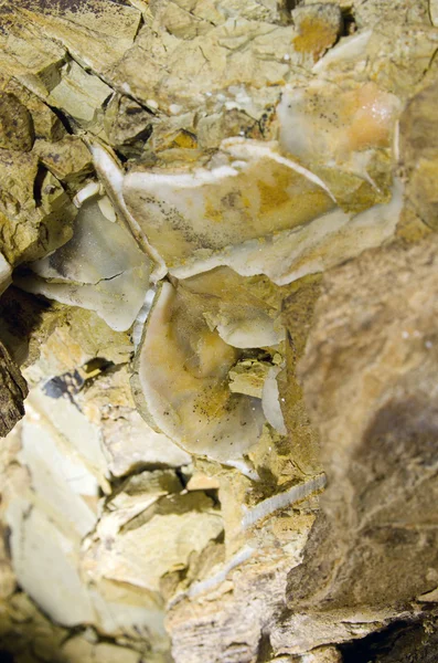 Selenite crystals in the gypsum cave — Stock Photo, Image