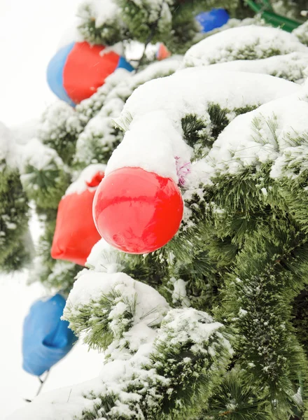 Park in winter — Stock Photo, Image