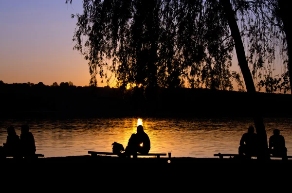 Pecinta di bangku oleh danau terhadap matahari terbenam — Stok Foto