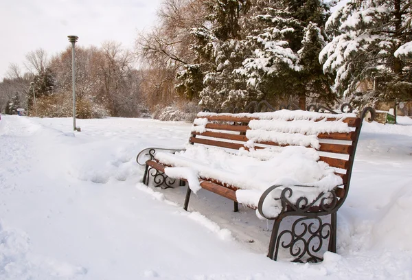 Bench a téli parkban — Stock Fotó