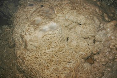 alçı iğne kristalleri