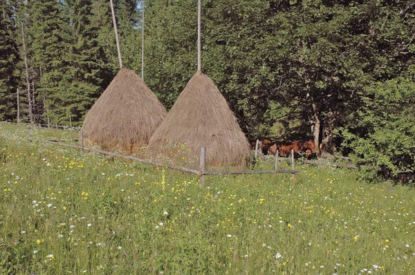 Стог сена на горном лугу — стоковое фото