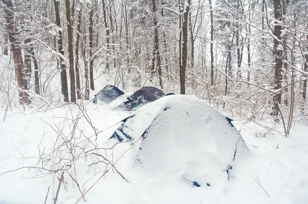 Tienda en el bosque cubierto de nieve — Foto de Stock