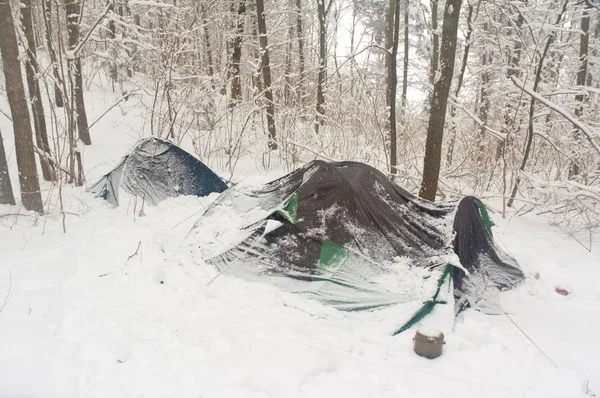 Namiot w lesie pokryte śniegiem — Zdjęcie stockowe