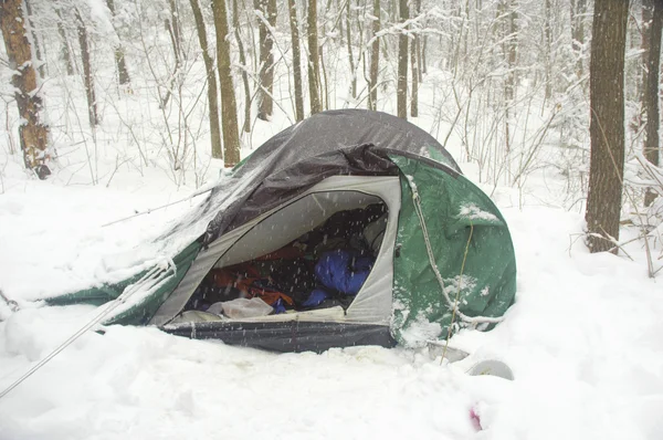 Złamane namiot w lesie zimą — Zdjęcie stockowe