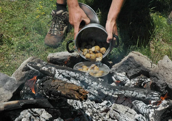 Garnek z ziemniakami w lesie — Zdjęcie stockowe