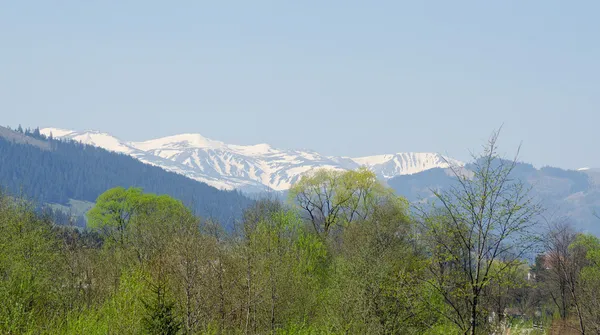 Заснеженные горы весной — стоковое фото