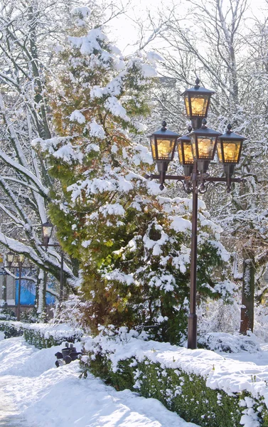 Park zimą — Zdjęcie stockowe