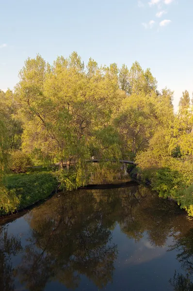 Panorama of the river — Stock Photo, Image