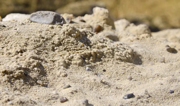 Textura půdy pozemní smíchané s malými kameny — Stock fotografie