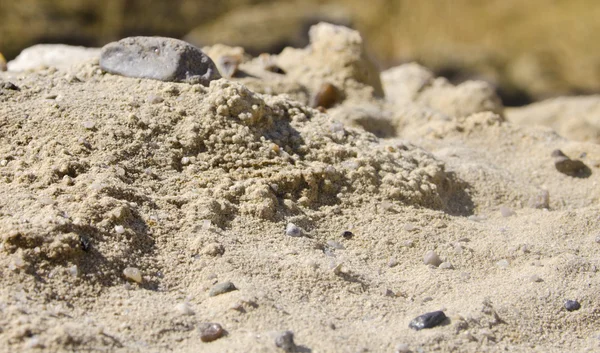 地面の土を混ぜて小さな岩 — ストック写真