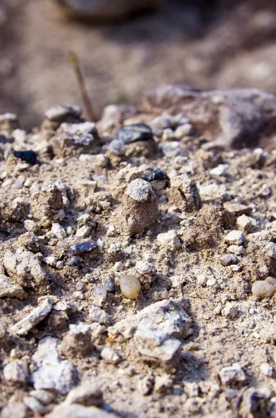地面の土を混ぜて小さな岩 — ストック写真