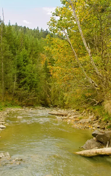 Mountain river — Stock Photo, Image