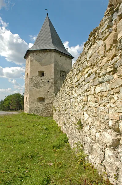 Står hög av ett medeltida slott — Stockfoto