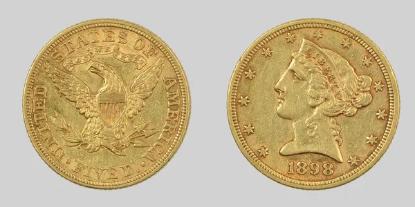 Guld dollar, på en grå baggrund - Stock-foto