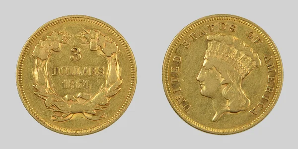 Gouden dollar, op een grijze achtergrond — Stockfoto