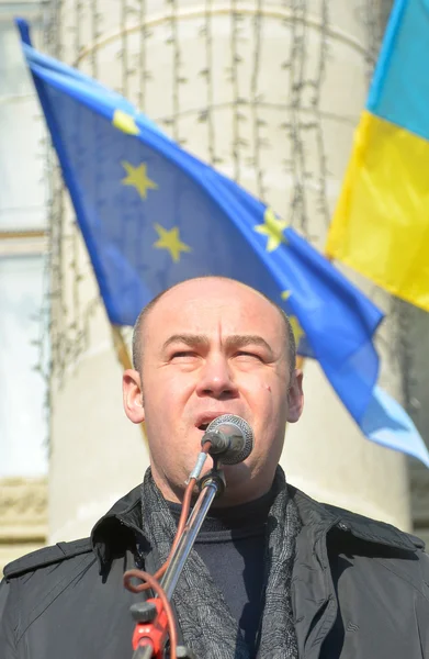 Ukraińskiej akcji politycznej opozycji — Zdjęcie stockowe