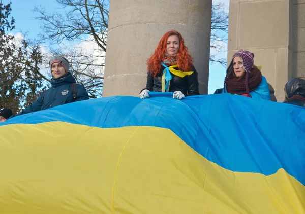 乌克兰的政治行动反对 — 图库照片