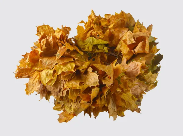 Wreath of yellow leaves — Stock Photo, Image