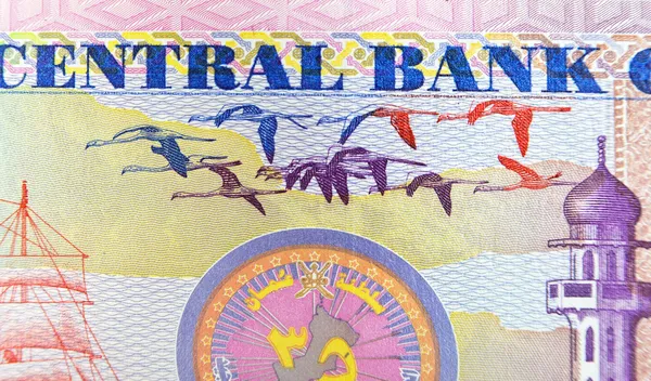 Vintage elemeket papír bankjegyek, Omán — Stock Fotó
