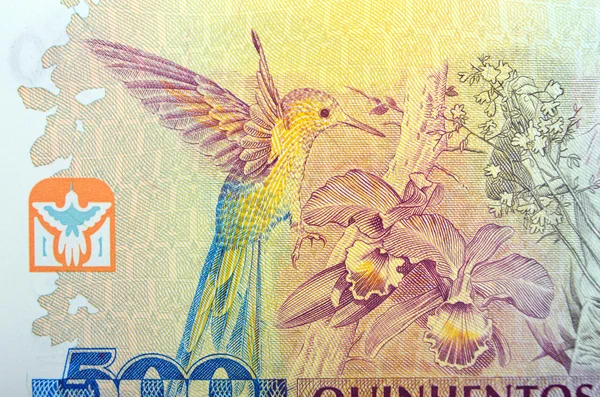 Vintage elements of paper banknotes, Brazil — Stock Photo, Image