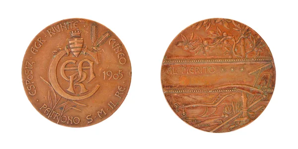 Old Copper Medal — Stock Photo, Image