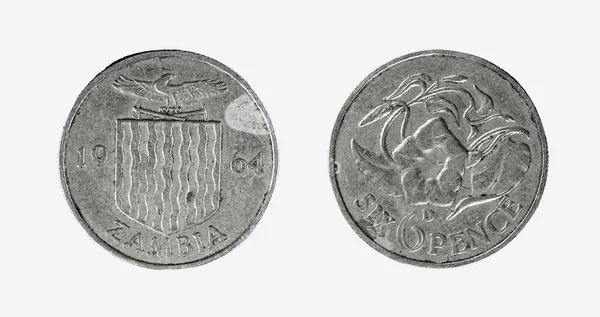 Coin of Zambia — Stock Photo, Image