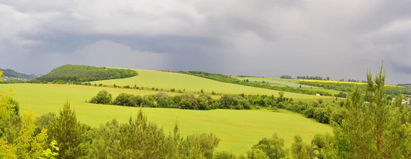 Panorama natuur zomer Rechtenvrije Stockafbeeldingen